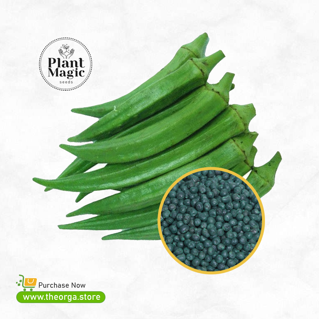 വെണ്ട വിത്ത് - Lady Finger Seed (Bhindi)