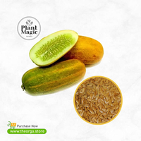 വെള്ളരി വിത്ത് - Cucumber Seeds