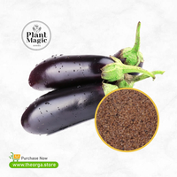 വഴുതന വിത്ത് - Brinjal Seed